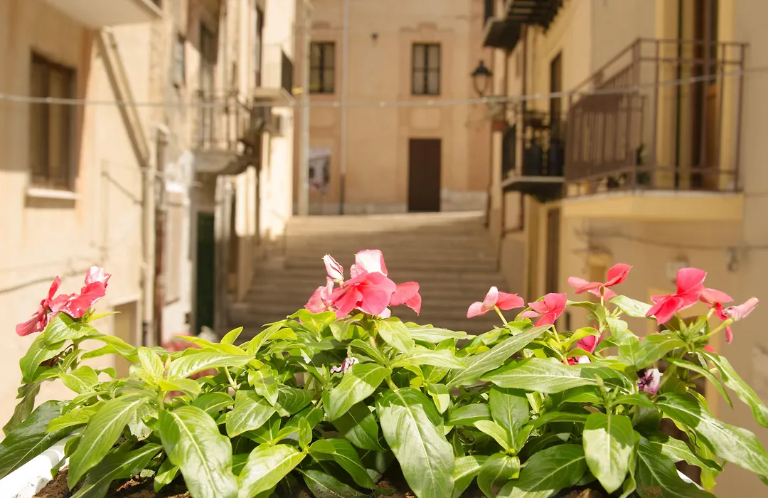 B&B Nencioli-1